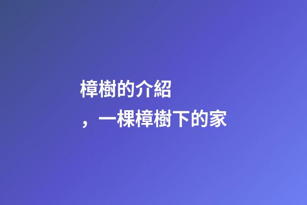 樟樹的介紹，一棵樟樹下的家-第1張-觀點-玄機派